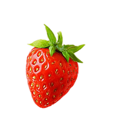 starberry decoration